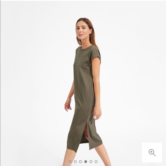 everlane luxe cotton dress